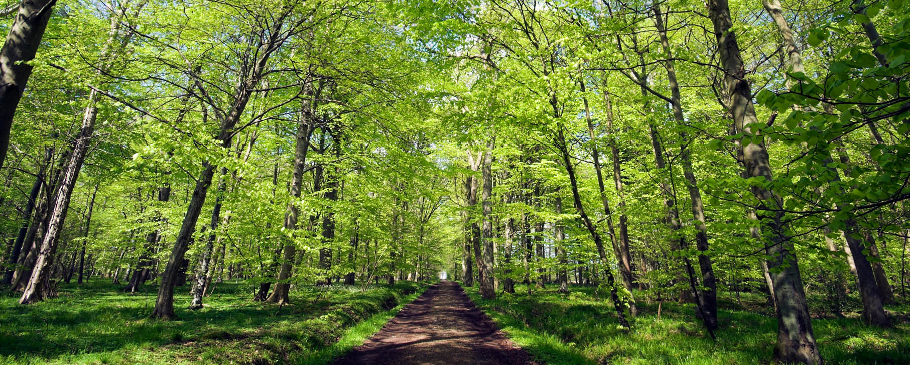 Årsregnskab_2019_DK_1